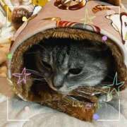 ヒメ日記 2026/02/18 09:09 投稿 姫路ゆず 一夜妻