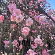 ヒメ日記 2026/02/26 10:39 投稿 姫路ゆず 一夜妻