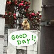 ヒメ日記 2026/03/08 09:39 投稿 姫路ゆず 一夜妻