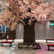 ヒメ日記 2026/03/12 23:09 投稿 姫路ゆず 一夜妻