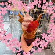 ヒメ日記 2026/03/15 10:40 投稿 姫路ゆず 一夜妻