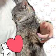 ヒメ日記 2026/04/05 10:09 投稿 姫路ゆず 一夜妻