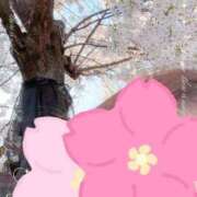 ヒメ日記 2026/04/05 18:09 投稿 姫路ゆず 一夜妻