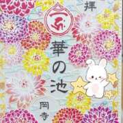 ヒメ日記 2026/05/03 11:39 投稿 姫路ゆず 一夜妻