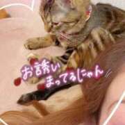 ヒメ日記 2026/05/21 13:39 投稿 姫路ゆず 一夜妻
