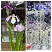 ヒメ日記 2026/05/29 14:09 投稿 姫路ゆず 一夜妻