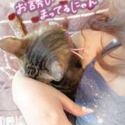 ヒメ日記 2026/06/10 10:09 投稿 姫路ゆず 一夜妻