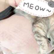 ヒメ日記 2026/06/15 10:09 投稿 姫路ゆず 一夜妻