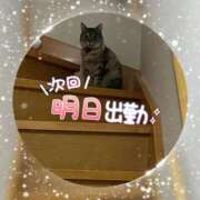 ヒメ日記 2026/06/24 12:09 投稿 姫路ゆず 一夜妻