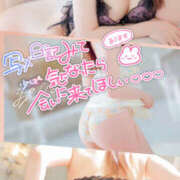 ヒメ日記 2026/07/09 10:09 投稿 姫路ゆず 一夜妻