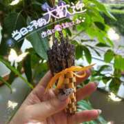 ヒメ日記 2026/07/09 12:09 投稿 姫路ゆず 一夜妻