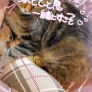 ヒメ日記 2026/07/11 00:39 投稿 姫路ゆず 一夜妻