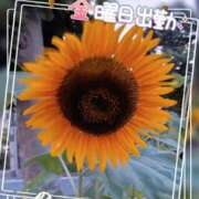 ヒメ日記 2026/07/15 00:09 投稿 姫路ゆず 一夜妻