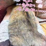 ヒメ日記 2026/07/28 10:09 投稿 姫路ゆず 一夜妻