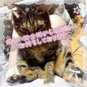 ヒメ日記 2026/07/30 14:09 投稿 姫路ゆず 一夜妻