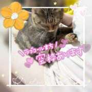 ヒメ日記 2026/07/31 10:09 投稿 姫路ゆず 一夜妻