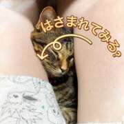 ヒメ日記 2026/08/06 10:09 投稿 姫路ゆず 一夜妻