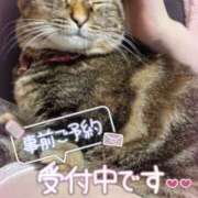 ヒメ日記 2026/08/08 00:19 投稿 姫路ゆず 一夜妻