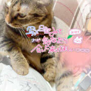 ヒメ日記 2026/08/20 14:01 投稿 姫路ゆず 一夜妻