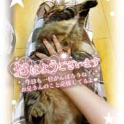 ヒメ日記 2026/08/28 10:02 投稿 姫路ゆず 一夜妻