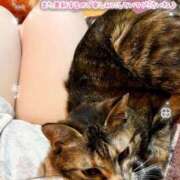ヒメ日記 2026/08/31 00:01 投稿 姫路ゆず 一夜妻