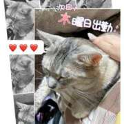 ヒメ日記 2026/09/08 00:01 投稿 姫路ゆず 一夜妻