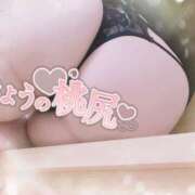 ヒメ日記 2026/09/12 02:01 投稿 姫路ゆず 一夜妻