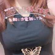 ヒメ日記 2026/09/23 02:01 投稿 姫路ゆず 一夜妻