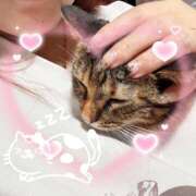 ヒメ日記 2026/09/23 13:02 投稿 姫路ゆず 一夜妻