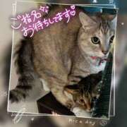 ヒメ日記 2026/10/04 10:06 投稿 姫路ゆず 一夜妻