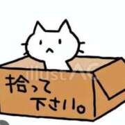 ヒメ日記 2025/07/28 20:42 投稿 じゅり 木更津人妻花壇