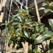 ヒメ日記 2025/10/18 12:01 投稿 ナコ マテリアル