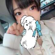 ヒメ日記 2025/11/01 10:16 投稿 ナコ マテリアル