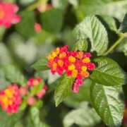 ヒメ日記 2025/11/07 23:01 投稿 ナコ マテリアル