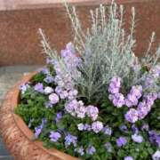 ヒメ日記 2025/11/10 18:01 投稿 ナコ マテリアル