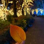 ナコ ? マテリアル