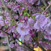 ヒメ日記 2026/03/20 20:01 投稿 ナコ マテリアル