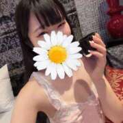 ナコ ? マテリアル