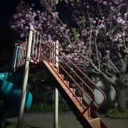 ヒメ日記 2026/04/14 21:31 投稿 ナコ マテリアル