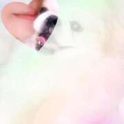 ヒメ日記 2025/02/24 10:25 投稿 きよか 横浜熟女MAX