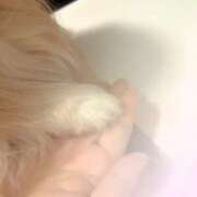 ヒメ日記 2025/11/15 22:05 投稿 きよか 横浜熟女MAX