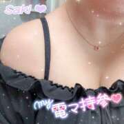 ヒメ日記 2025/08/26 13:20 投稿 さき 日本妻