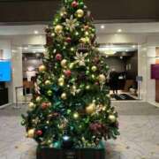 ヒメ日記 2024/12/20 12:26 投稿 片瀬あい ハレ系 福岡DEまっとる。