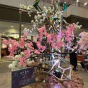 ヒメ日記 2025/04/06 19:47 投稿 片瀬あい ハレ系 福岡DEまっとる。