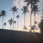 ヒメ日記 2025/08/22 09:25 投稿 片瀬あい ハレ系 福岡DEまっとる。