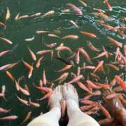 ヒメ日記 2025/08/29 19:44 投稿 片瀬あい ハレ系 福岡DEまっとる。