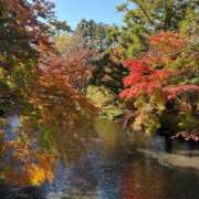 ヒメ日記 2025/12/05 19:52 投稿 片瀬あい ハレ系 福岡DEまっとる。