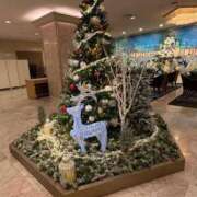 ヒメ日記 2025/12/16 07:10 投稿 片瀬あい ハレ系 福岡DEまっとる。