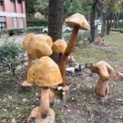 ヒメ日記 2026/01/25 20:47 投稿 片瀬あい ハレ系 福岡DEまっとる。