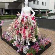 ヒメ日記 2026/03/29 21:37 投稿 片瀬あい ハレ系 福岡DEまっとる。＆ひよこ治療院